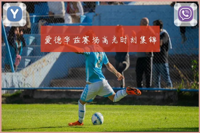 爱德华兹赛场高光时刻集锦