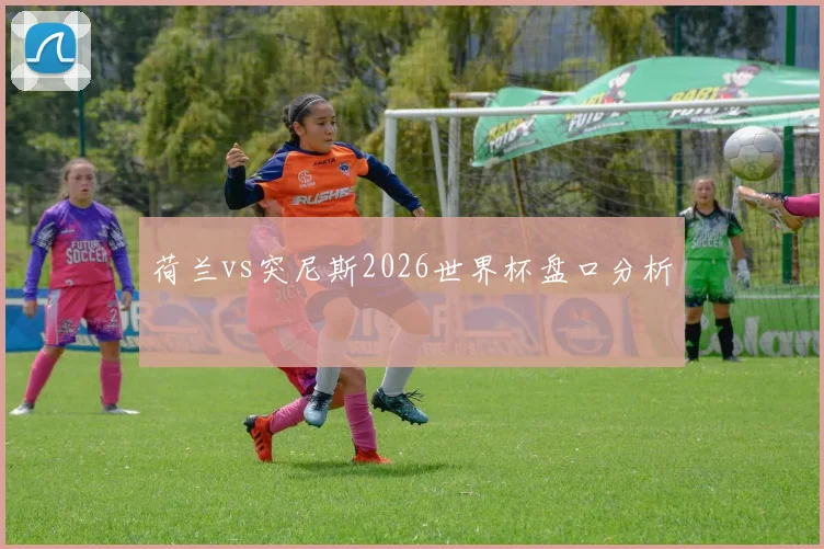 荷兰vs突尼斯2026世界杯盘口分析