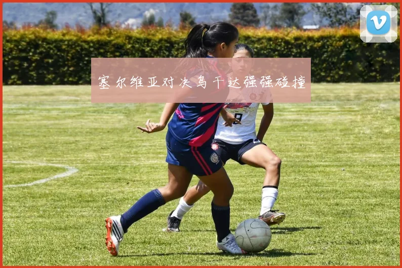 塞尔维亚对决乌干达强强碰撞