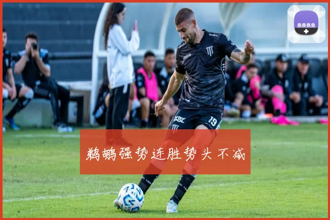 鹈鹕强势连胜势头不减