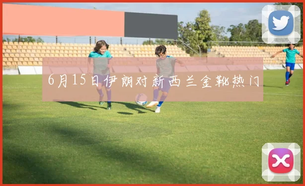 6月15日伊朗对新西兰金靴热门