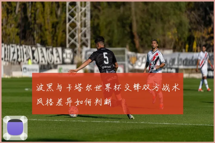 波黑与卡塔尔世界杯交锋双方战术风格差异如何判断