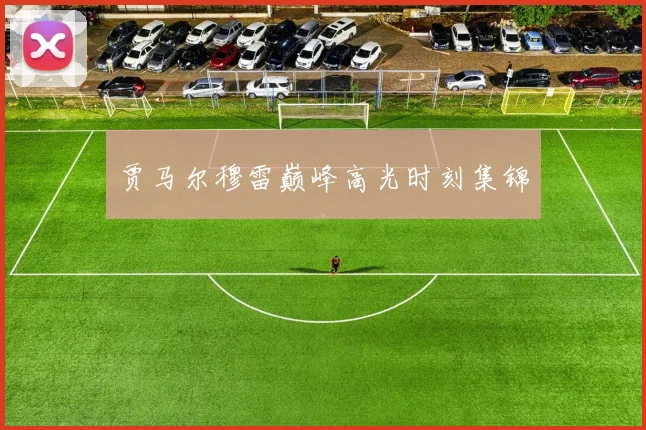 贾马尔穆雷巅峰高光时刻集锦