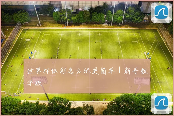 世界杯体彩怎么玩更简单|新手教学版
