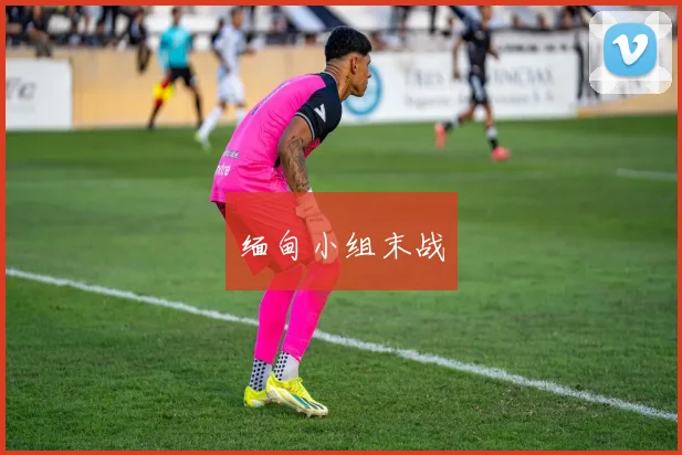 缅甸小组末战