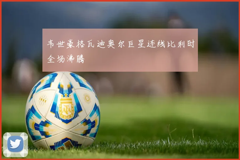 韦世豪格瓦迪奥尔巨星连线比利时全场沸腾