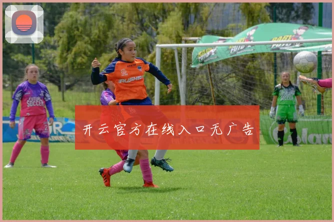 开云官方在线入口无广告