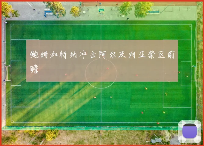 鲍姆加特纳冲击阿尔及利亚禁区前瞻