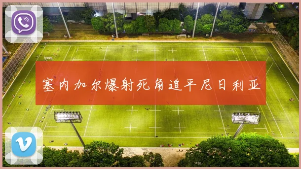 塞内加尔爆射死角追平尼日利亚