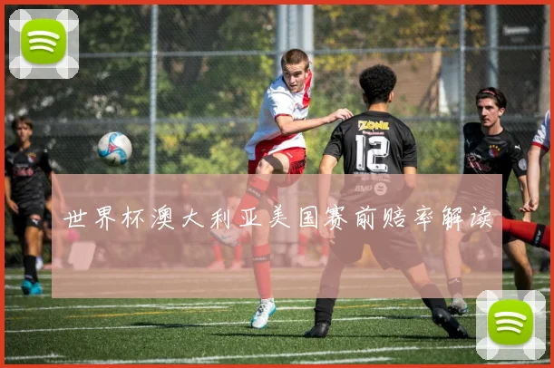 世界杯澳大利亚美国赛前赔率解读