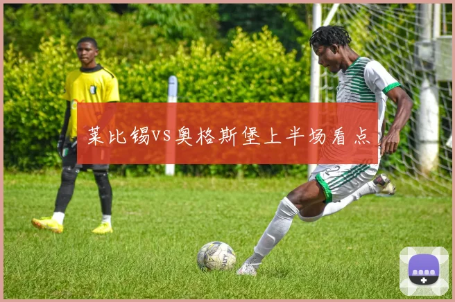莱比锡vs奥格斯堡上半场看点