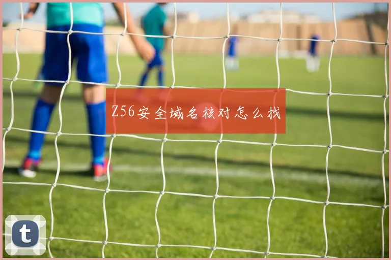 Z56安全域名核对怎么找