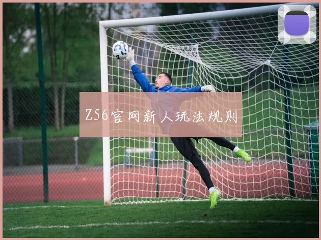 Z56官网新人玩法规则